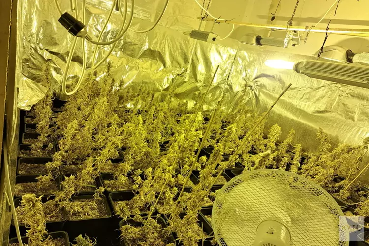 Drugs gevonden in Obdam en Avenhorn, woningen gesloten