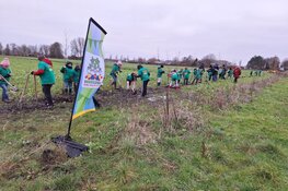 Kinderen planten windhaag op allereerste BoerenBoomfeestdag
