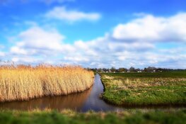 Provincies pleiten bij Rijk voor snellere aanpak luchtkwaliteit