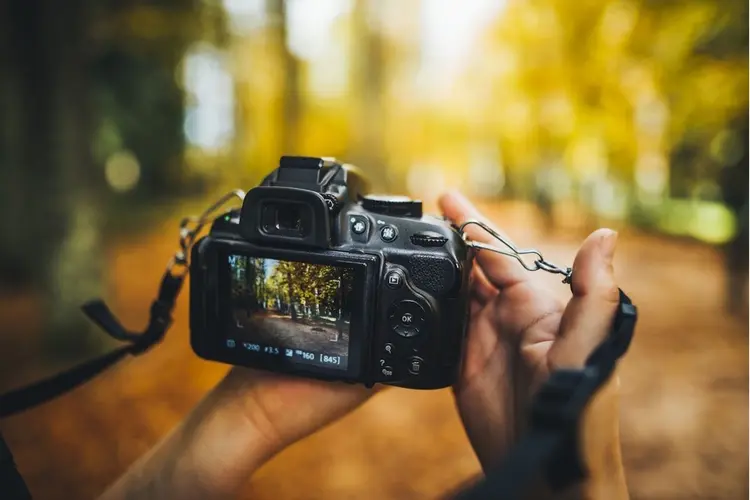 Wegens grote belangstelling herhaling cursus fotografie  in De Brink Obdam