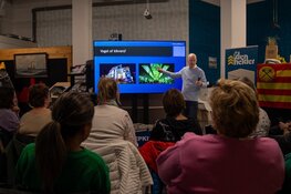 Wat kost een smartphonefotografie cursus?