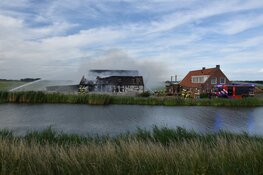 Lammetjes uit brandende schuur gered in Avenhorn