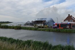 Lammetjes uit brandende schuur gered in Avenhorn
