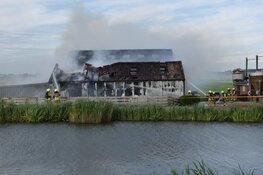 Lammetjes uit brandende schuur gered in Avenhorn
