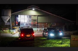 Brandweer in actie nadat koe in gierput valt