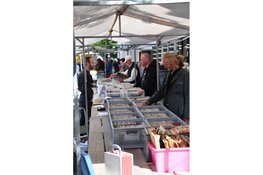 Themamarkten in Hoorn en Enkhuizen dit weekend