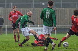 Grasshoppers na rust langs St. George