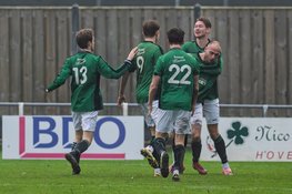 Grasshoppers na rust langs St. George