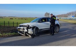 Auto's botsen bijna frontaal op elkaar in bocht Berkhout. Honden ongedeerd