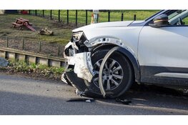 Auto's botsen bijna frontaal op elkaar in bocht Berkhout. Honden ongedeerd