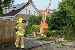 Blikseminslag veroorzaakt flinke schade aan boom en schoorsteen in Obdam