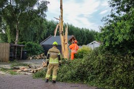 Blikseminslag veroorzaakt flinke schade aan boom en schoorsteen in Obdam