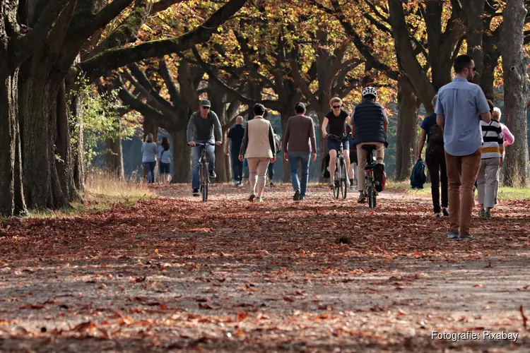 Herfst gaat officieel van start, maar het weer blijft zacht en rustig