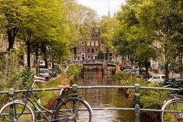 Duizenden roze stappen tussen Amsterdam en Zaandam tijdens hartverwarmende 22e Dam tot Dam Wandeltocht voor Pink Ribbon