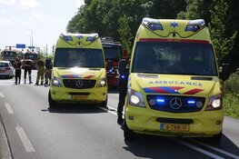 Auto met drie honden te water in Avenhorn