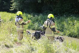 Auto met drie honden te water in Avenhorn