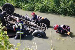 Auto met drie honden te water in Avenhorn