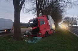Vrachtwagen ramt boom, bestuurder ongedeerd