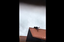 Ravage enorm na brand bij Victoria O, 14-jarige verdachte aangehouden