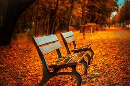 Herfstachtig weer zet door