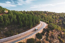 Indie Campers werkt samen met Forstfreunde: CO2 compensatie voor je roadtrip door het planten van bomen