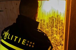 Hennepkwekerij ontdekt in Berkhout