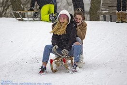 Winterse zondag in beeld
