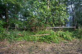 Nieuwe zoektocht naar vermiste Sumanta Bansi levert niets op