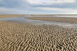 Hoi zeil- en natuurliefhebbers!