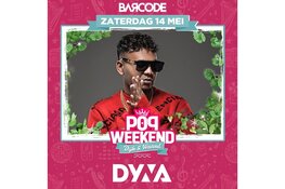 Popweekend Dijk & Waard, een muziekfeest voor iedereen!