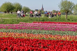 Ontdek het Westfriese landschap tijdens de Fiets4Daagse Hoorn